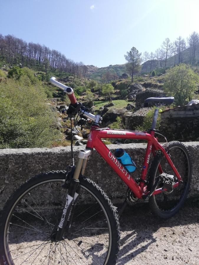 سابوغييرو Sambuc'Asa - Serra Da Estrela المظهر الخارجي الصورة