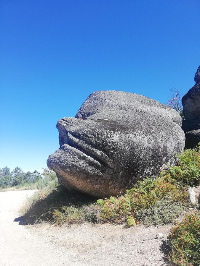سابوغييرو Sambuc'Asa - Serra Da Estrela المظهر الخارجي الصورة