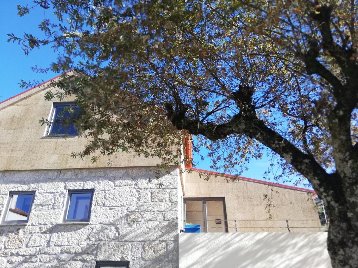 سابوغييرو Sambuc'Asa - Serra Da Estrela المظهر الخارجي الصورة
