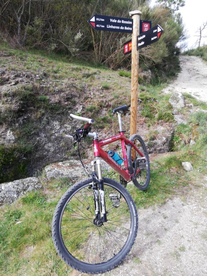 سابوغييرو Sambuc'Asa - Serra Da Estrela المظهر الخارجي الصورة