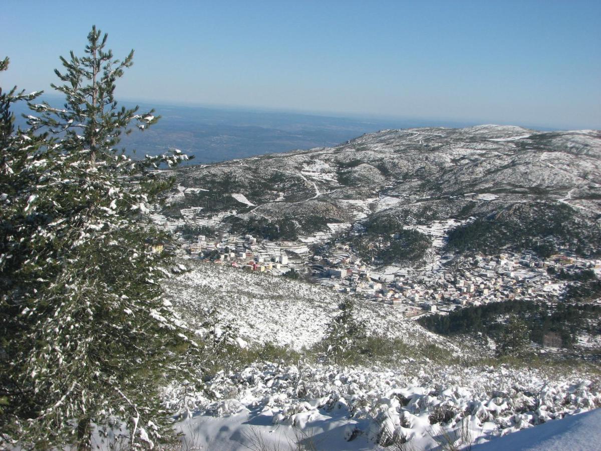 سابوغييرو Sambuc'Asa - Serra Da Estrela المظهر الخارجي الصورة