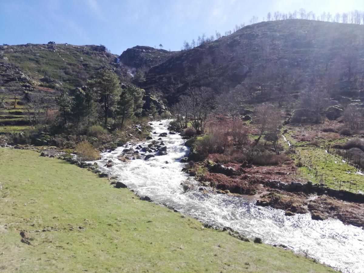 سابوغييرو Sambuc'Asa - Serra Da Estrela المظهر الخارجي الصورة
