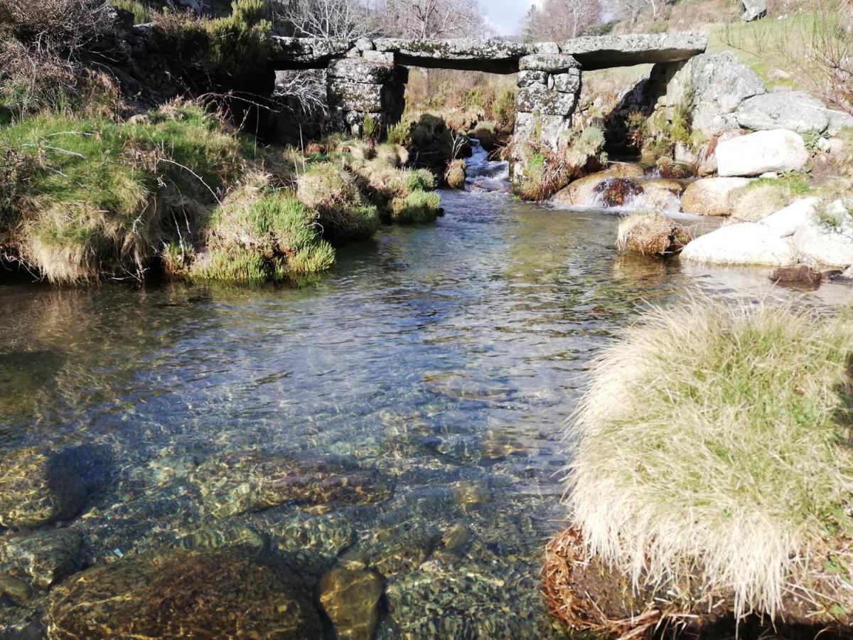 سابوغييرو Sambuc'Asa - Serra Da Estrela المظهر الخارجي الصورة