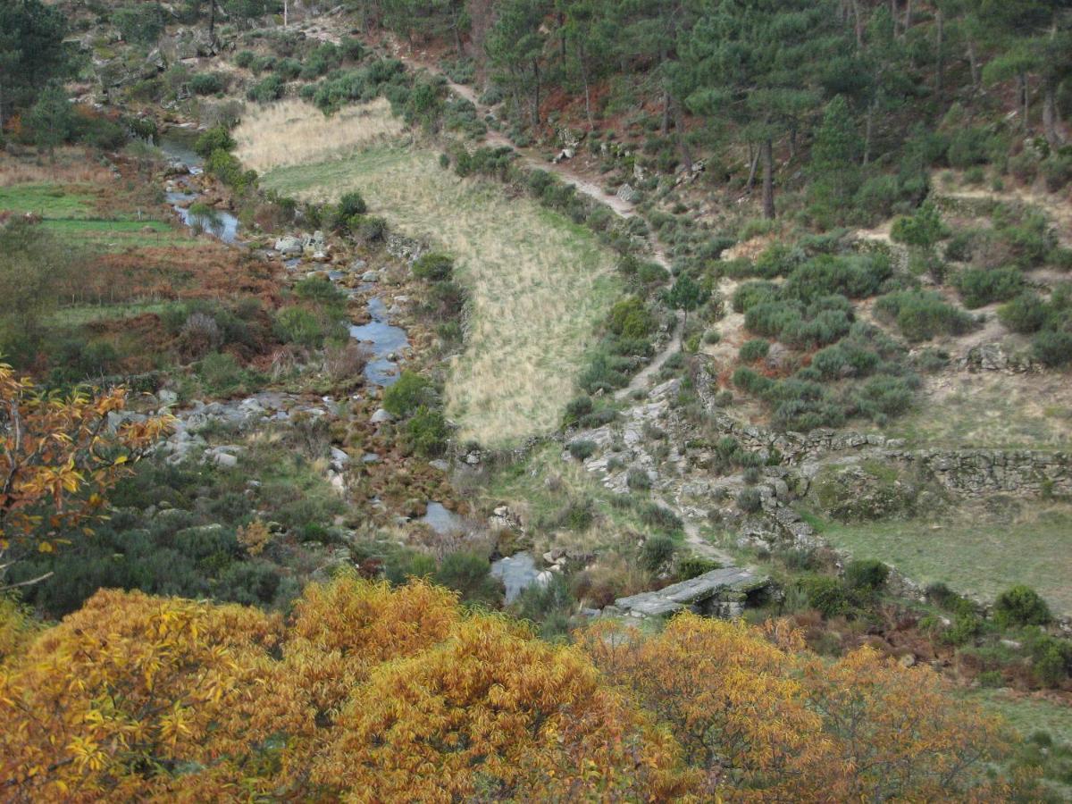 سابوغييرو Sambuc'Asa - Serra Da Estrela المظهر الخارجي الصورة