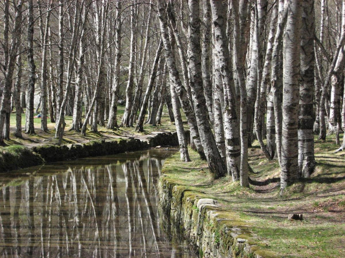 سابوغييرو Sambuc'Asa - Serra Da Estrela المظهر الخارجي الصورة